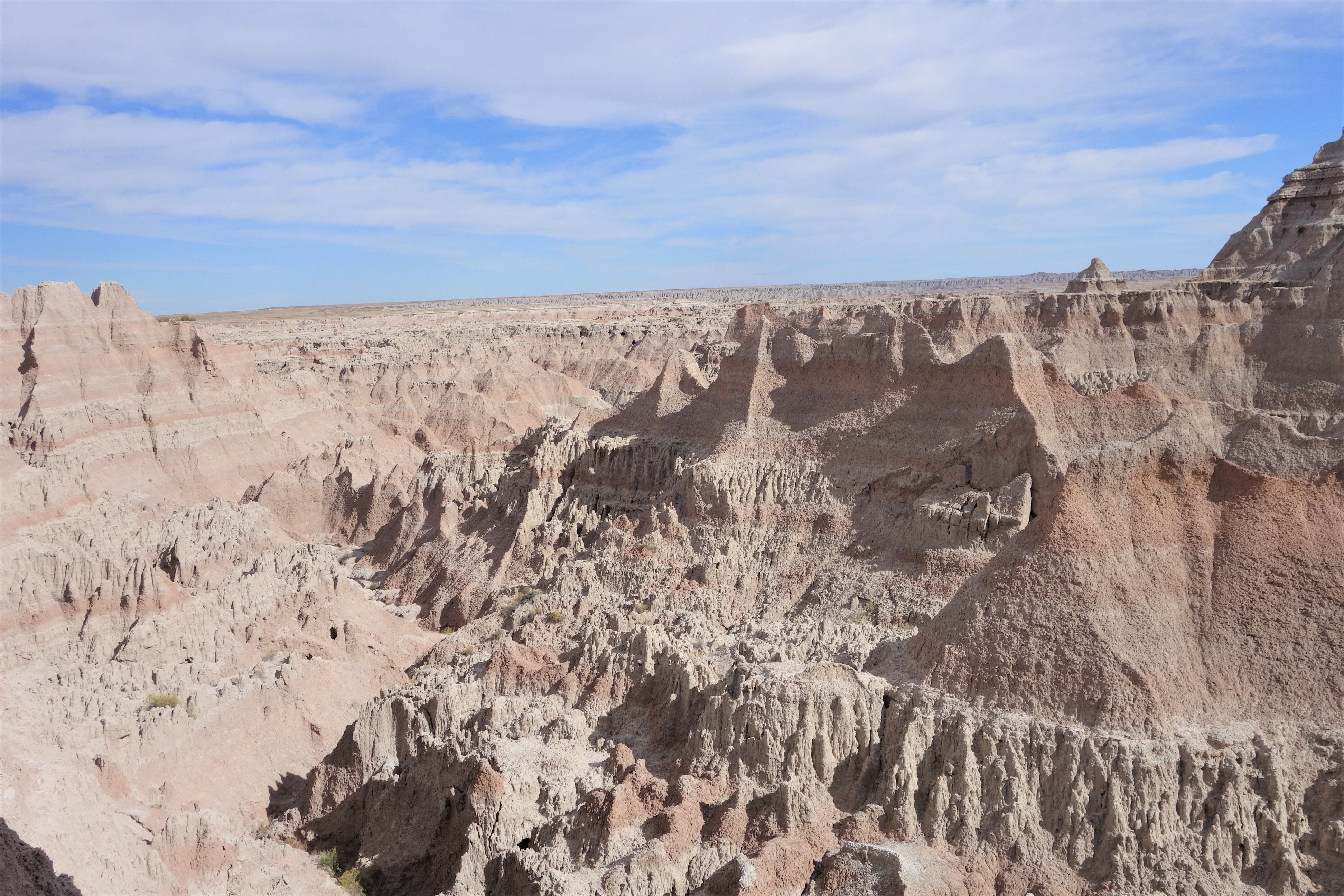 Theodore Roosevelt NP